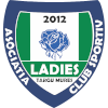 CSM Targu Mures (W) logo