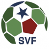 Feldkirchen logo