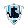 Dream Team Bucurest (W) logo