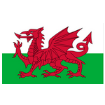 Wales U17 logo