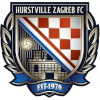 Hurstville FC U20 logo
