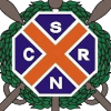 Regatas de San Nicolas logo