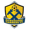Ekwendeni Hammers logo