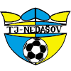 Tj Nedasov logo
