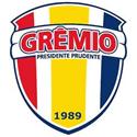 Gremio Barueri SP logo