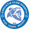 ACS Kids Tampa Brasov U19 logo
