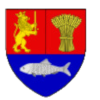 CSJ Stiinta U Craiova U19 logo
