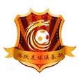 Dantong Tengyue logo