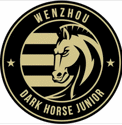 Wenzhou Professional logo