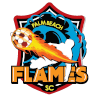 Palm Beach Flames logo