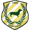 FC Samambaia U20 logo