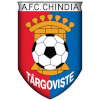 CF Chindia Targoviste U19 logo