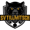 SV Tillmitsch logo