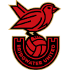 Bridgwater United (W) logo
