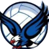 Thunderbirds (W) logo