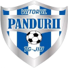 ACS Viitorul Pandurii Targu Jiu II logo