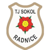 TJ Sokol Radnice logo