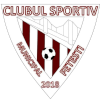 CSM Fetesti logo