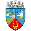 CSS Lugoj U19 logo