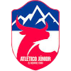 Atletico Junior Yoro logo