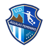 UD Aguilas (W) logo