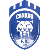 Cankiri Blediye Spor logo