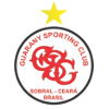 Guarany de Bage (W) logo