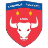 Cheadle Town Stingers (W) logo