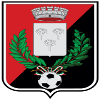 US Fiorenzuola U19 logo