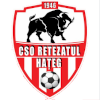 CSO Retezatul Hateg logo