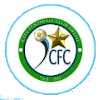 City FC (W) logo