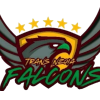 Trans Nzoia Falcons FC (W) logo