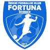 ZFK Fortuna Zivinice (W) logo