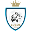 Lobos Puebla logo
