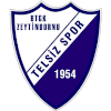 Telsizspor (W) logo