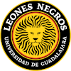 Universidad Guadalajara III logo