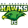 Mount Gravatt Hawks U23 logo