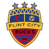 Flint City AFC (W) logo