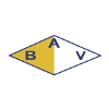 Bella Vista Paysandu logo