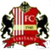 Libisany logo