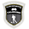 Deportivo Tulancingo logo