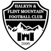 Flint Mountain logo