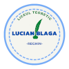 LT Lucian Blaga Reghin U19 logo
