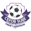 Club Sure logo
