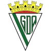 Alcochetense U19 logo