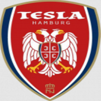 SSG Nikola Tesla logo