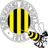 Bronshoj U21 logo