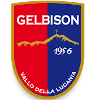 Gelbison U19 logo