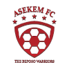 Asekem logo