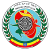 Mechal FC (W) logo